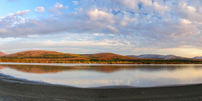 USA, Alaska, Kotzebue, Noatak River. Autumn colors along the Noatak River.